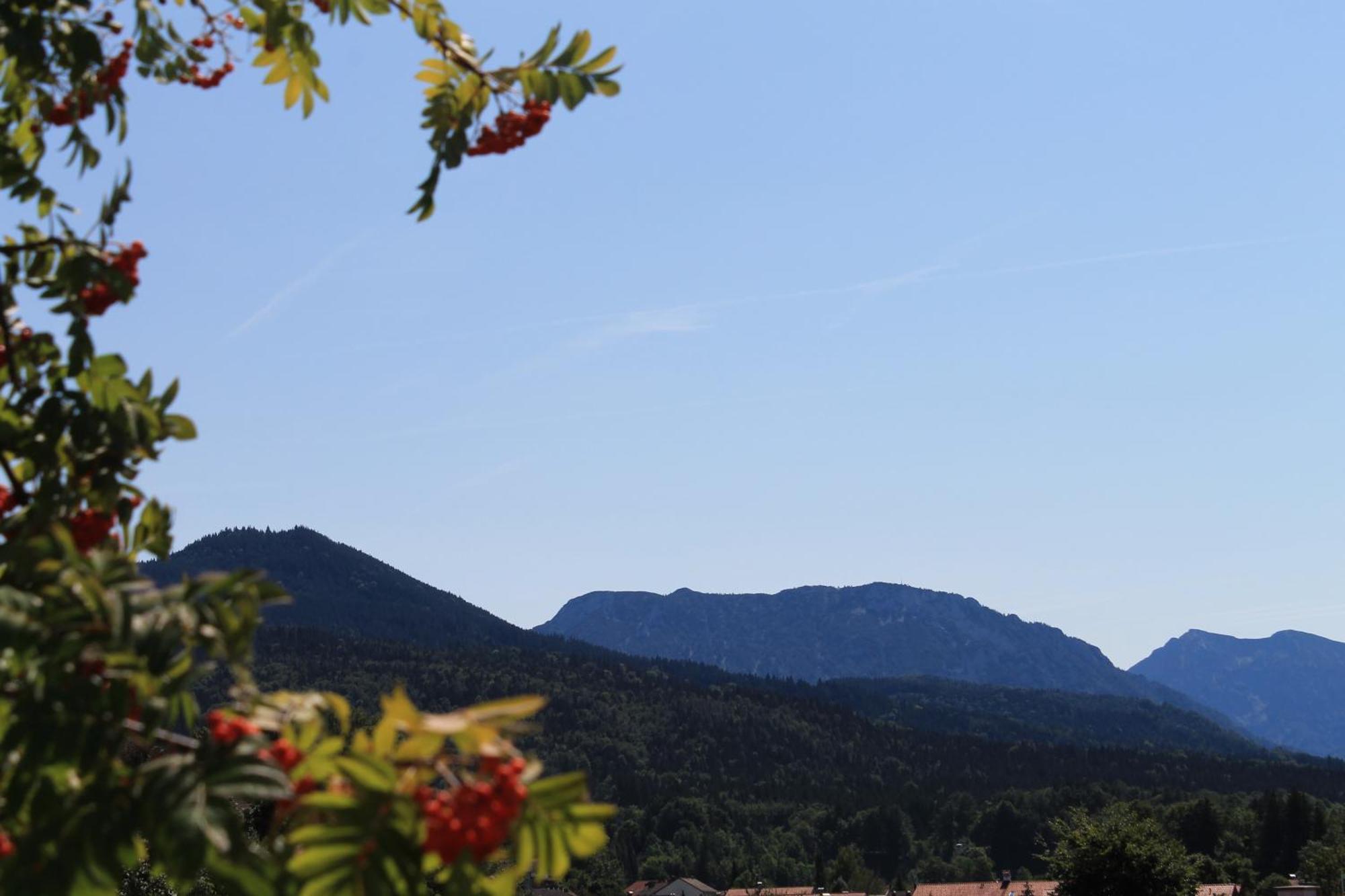 Hotel Garni Edelweiss Siegsdorf Eksteriør billede